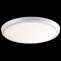 Ceiling lights