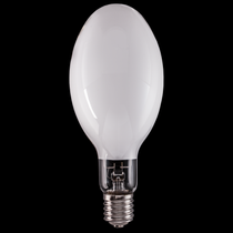 Mercury lamps
